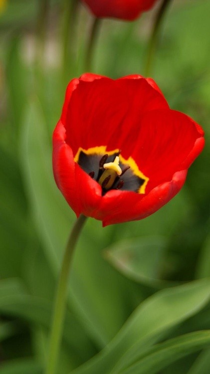 IMG-20200519-WA0006