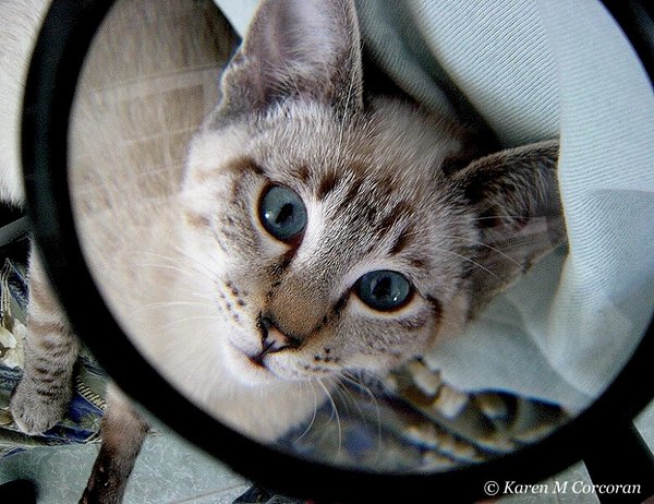 I Can See You Now