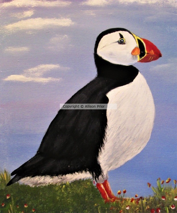 The Puffin