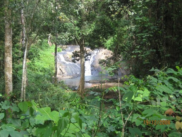 Waterfalls