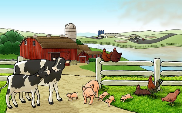 Good Farm / Bad Farm