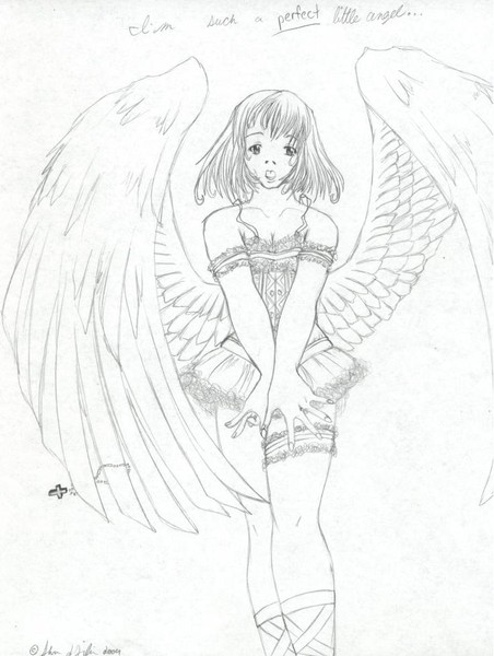 Perfect Angel -nc