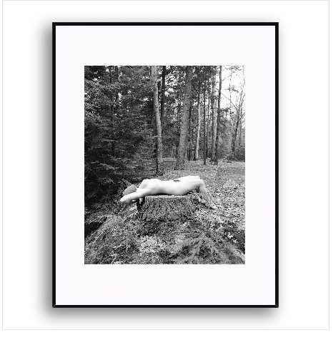FRAMED-Stumped
