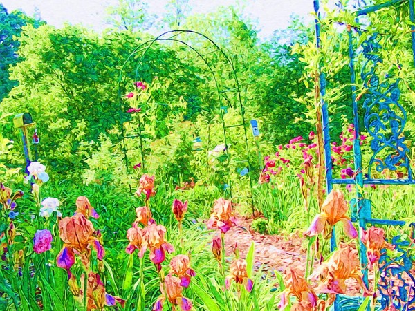 A view through the Trellis