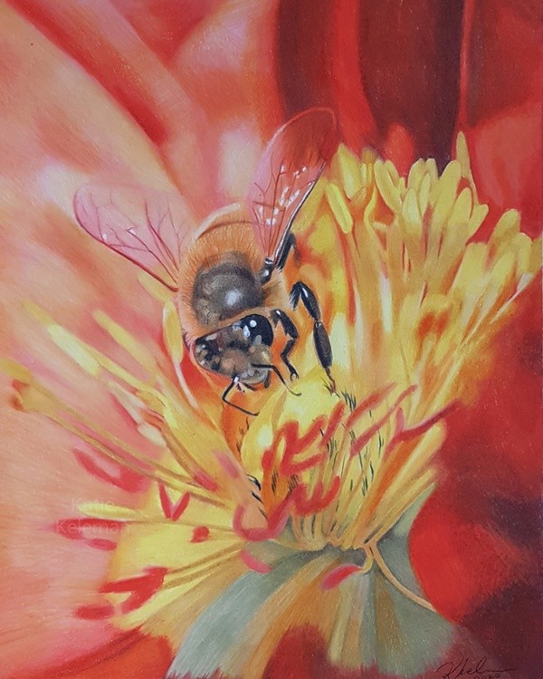 Honey Bee 