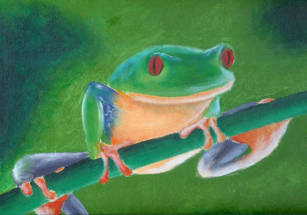 for lack of a creative title- frog