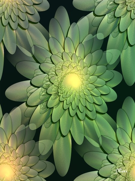Floral014