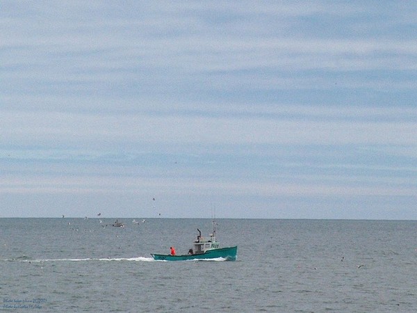 Another work day for the lobster boat.