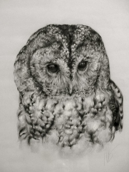 Watchful