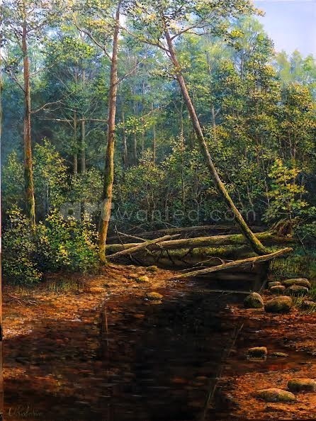  Creek in the Woods