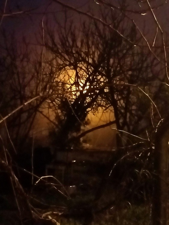 Gece