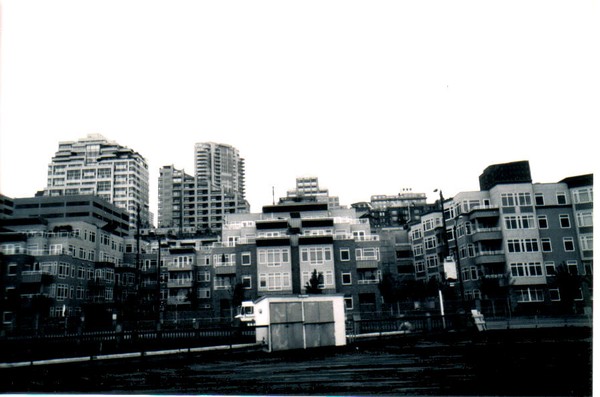 city scape of seattle bayside