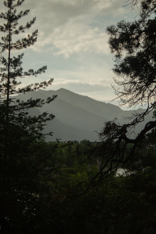 IMG 4575