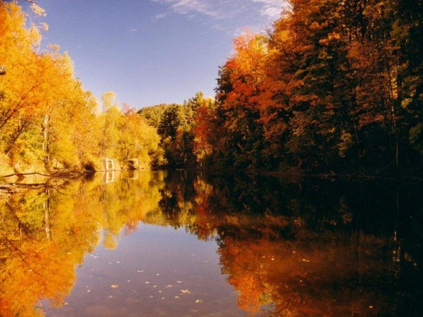 Fall Tranquility