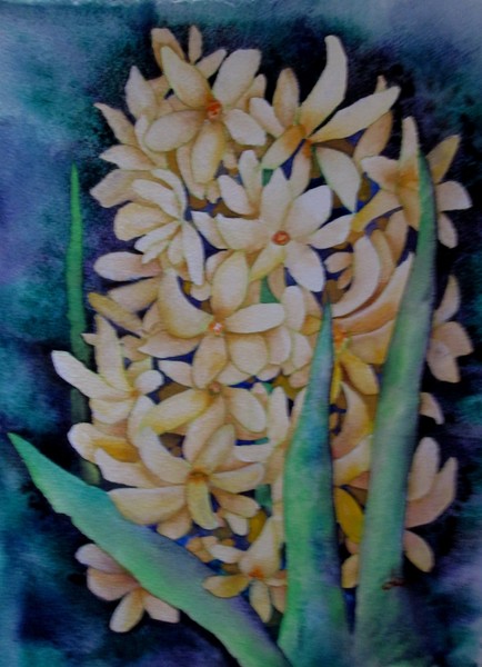 Hyacinth