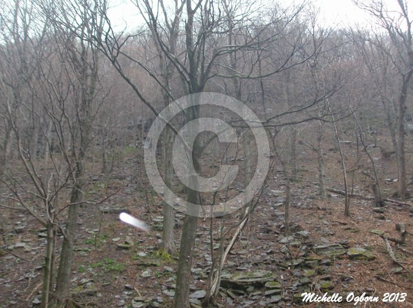 Unexplained Orb