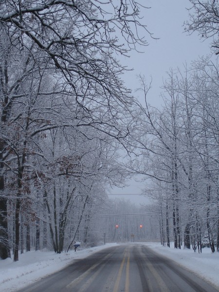 A Winter Drive