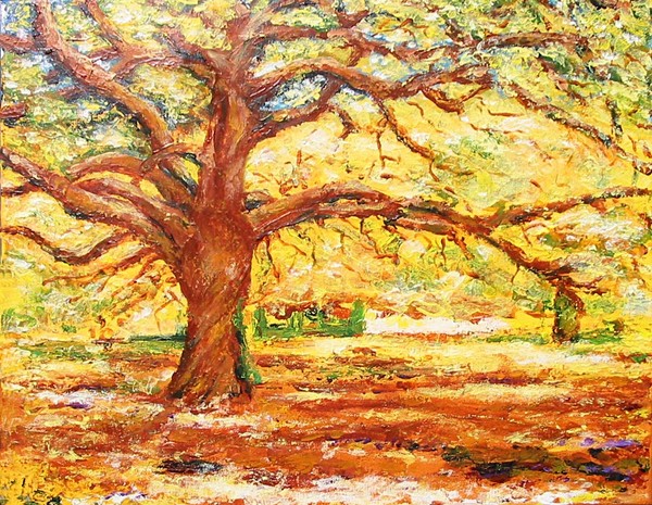 Yellow Tree