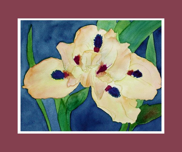 Sunny Iris
