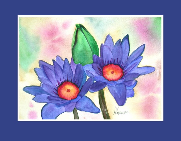 Blue Nile Lake Lillies