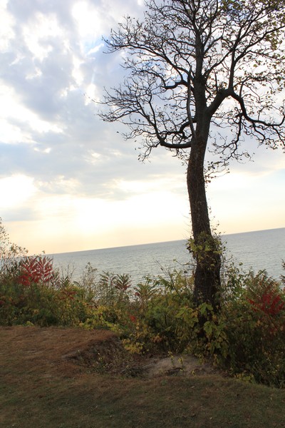Lake Mi
