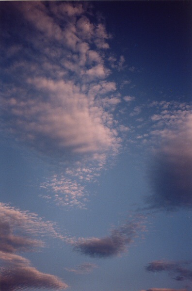 Summer Dreams