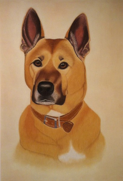 Jackies dog
