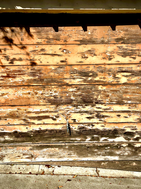 Artful Decay #5