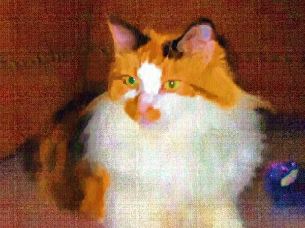 Gizmo