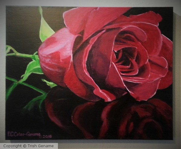 A Rose for Christmas