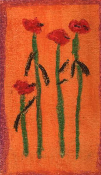 Family Of Red Poppies