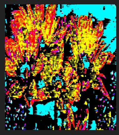 flowers 2