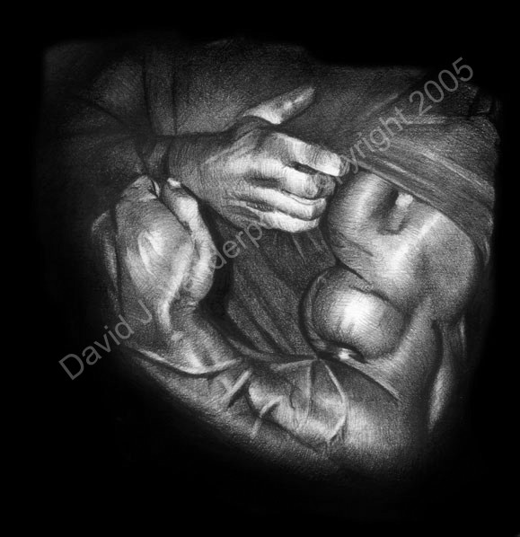DS's Arms