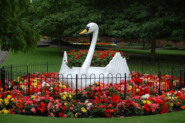 Floral Display
