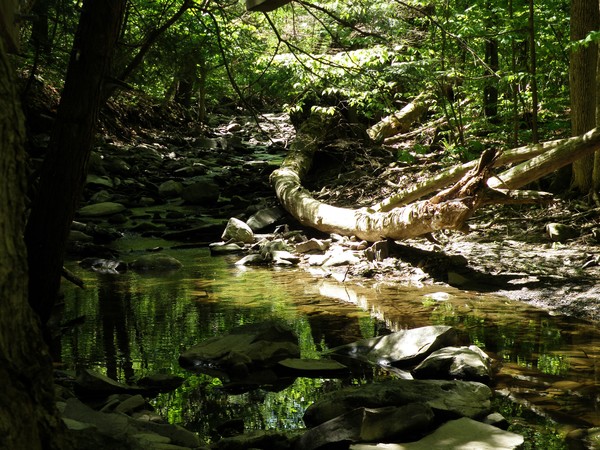 Stream II