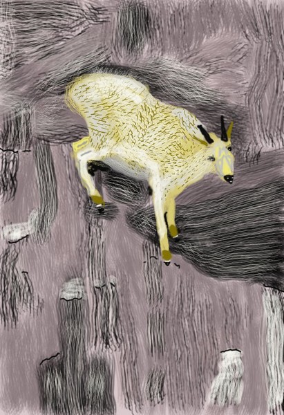 O421 Mountain Goat