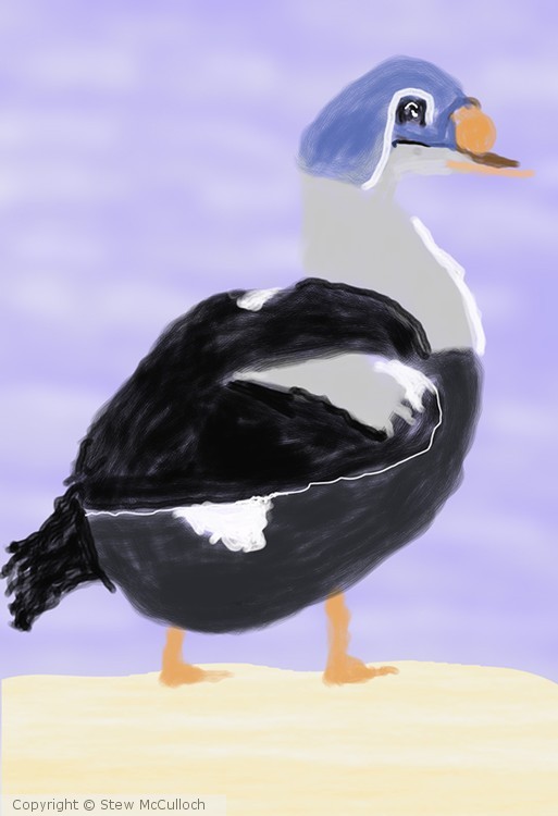 Puffin on the Beach P173