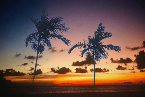 Romantic Shores