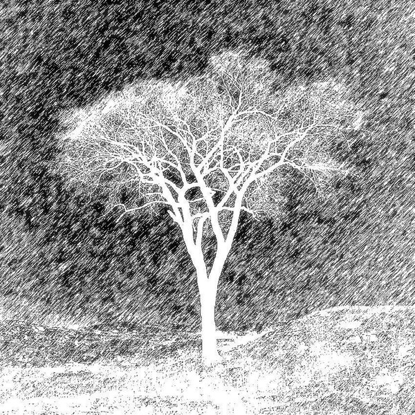 Treescape 1