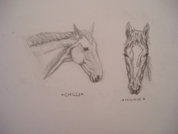 Mare and foal