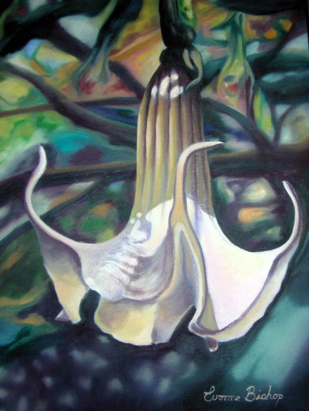 Trumpet Flower