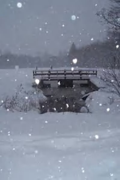 illuminating snow
