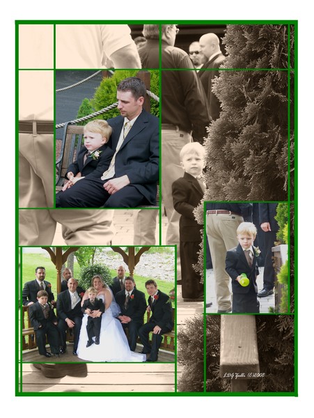 LISA'S WEDDING RING BEARER COMP.