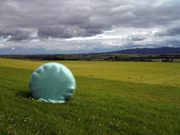 Round Bale
