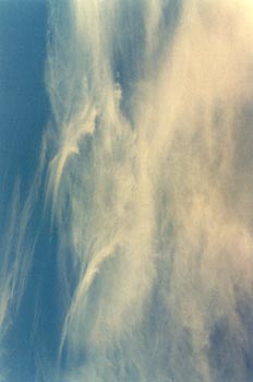 Angel de las Nuves  , copyright 1996, Daniel