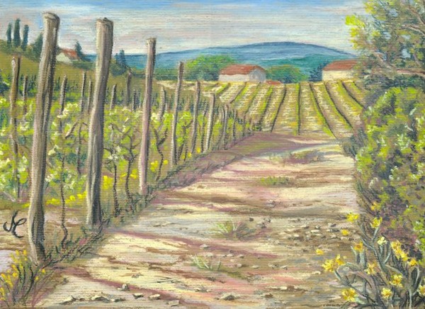 Wineyard