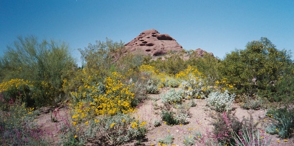 Hillside