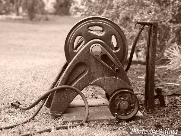 Untitled (Still Life)
