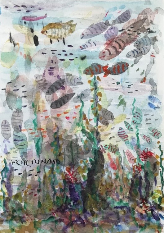 Aquarium