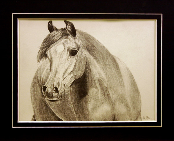 Portrait of Al
